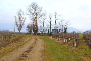 Fototapeta na wymiar Northern Italy countryside landscape in winter