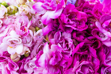 Fototapeta na wymiar Bouquet of spring fresh freesia flowers herbal