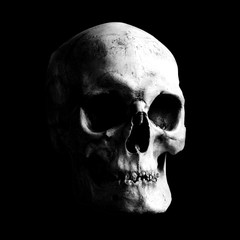 Contrast light-shadow image of a human skull on a black background.