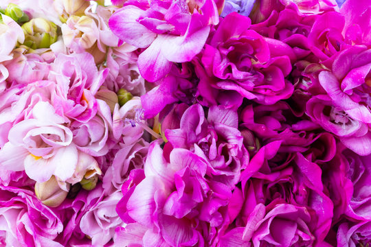Bouquet of spring fresh freesia flowers herbal © Esin Deniz