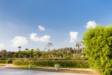 Gardens near Montaza Palace in Alexandria, Egypt.
