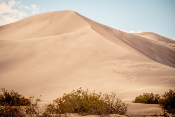 Big Sand Dunes in the desert of Nevada - travel photography