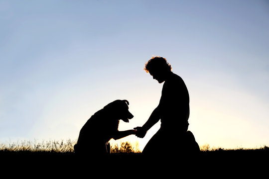 Silhouette of Man Shaking Hands with his Loyal Pet Dog