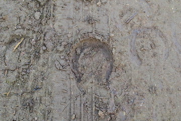 shod horse imprint in the sand