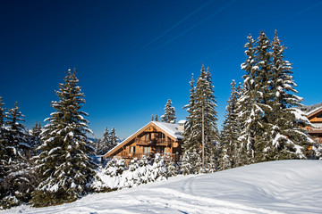 Obraz na płótnie Canvas Alpine ski resort with apartments and snowy trees.