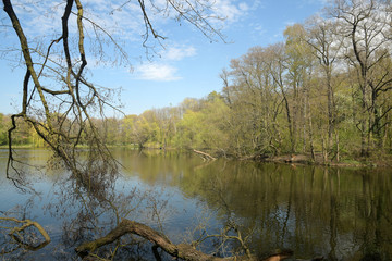jungfernheidesee