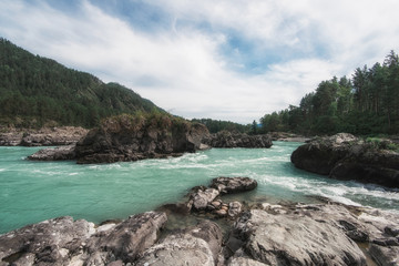 Obraz premium Katun river, in the Altai mountains