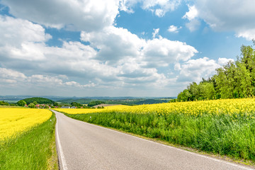 Eine Straße durch Rapsfelder