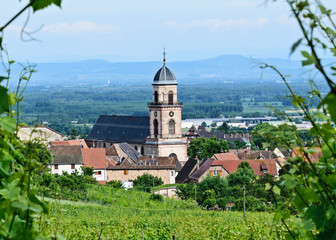 Fototapeta premium traditional village from between rows of grape vines