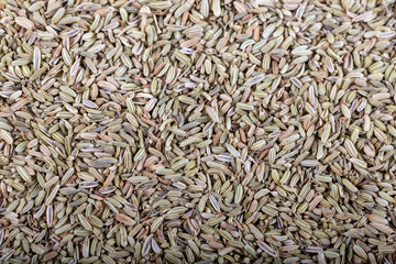 Dried anise seeds or aniseeds like as background.