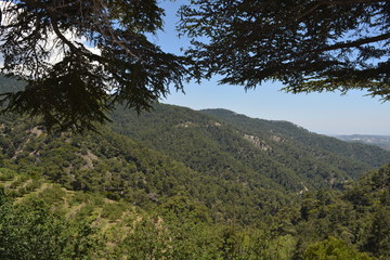 Fototapeta na wymiar Montañas de Troodos. Chipre