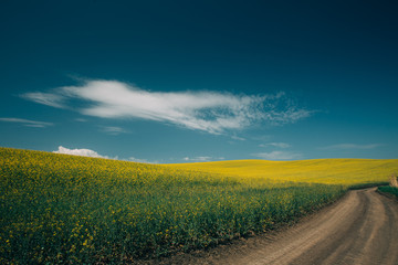 Rape Field