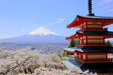 新倉山浅間公園の五重塔と富士山と満開の桜