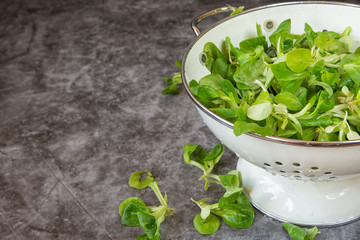 Field salad in a bowl for washing vegetables. on a dark background . Vegetarianism and healthy food