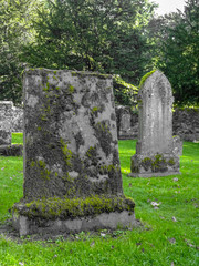 Mit Moos bewachsene alte Grabsteine auf einem schottischen Friedhof 