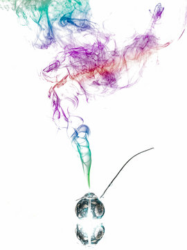 Jar with herbs emitting smoke