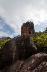  Lava stone formation into the bush in the natural park of curieuse island, Seychelles