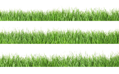 Set of fresh green grass on white background