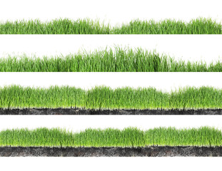 Set of fresh green grass on white background