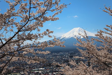 晴れた春の日の富士山と町