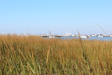 Nantucket Harbor View