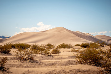 Big Sand Dunes in the desert of Nevada - travel photography