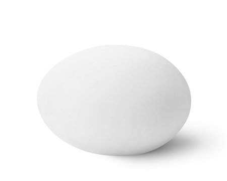Single  white egg isolated on white and shadow with clipping path.