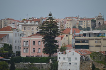 Colorful Buildings Seen From The San Pedro De Alcantara Garden In Lisbon. Nature, architecture, history, street photography. April 11, 2014. Lisbon, Portugal.