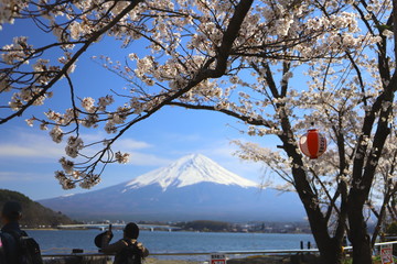 河口湖　湖畔の富士山