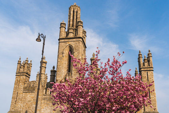 Monkstown Parish Church of Ireland, built in 1830, located in County Dublin on a beautiful spring day with blue sky and pink cherry blossom.