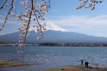 河口湖　湖畔の富士山