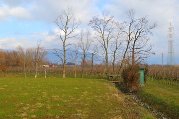 The preparation of the fixed hut is carried out during the summer months