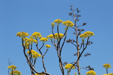 Naturaleza