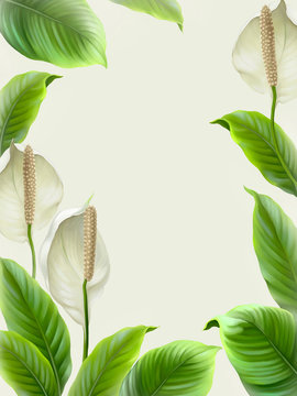 Background with illustrations of Anthurium flowers. Digital art