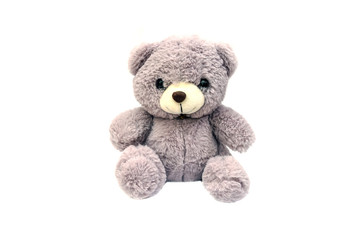 gray teddy bear on white background