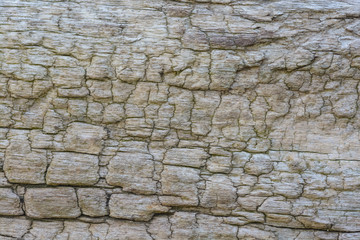 brown cracked wood texture