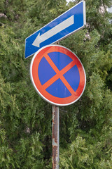 Overgrown Traffic Sign