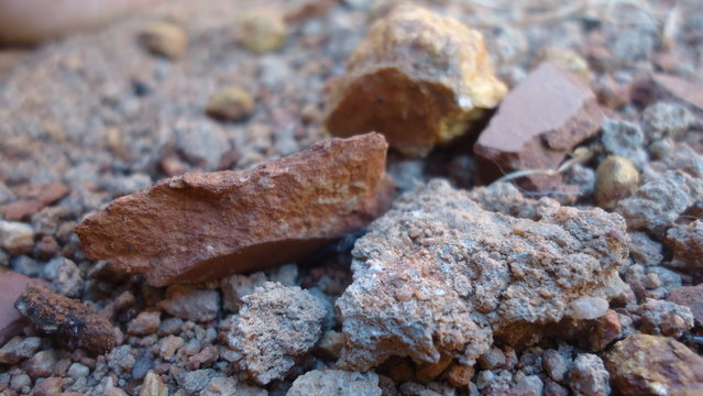 pedazos de teja en el suelo