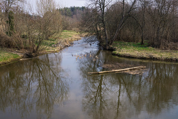 Old ditch with water around the Shlokenbek estate in Latvia. 7 April 2019.