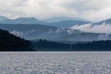 A beautiful foggy landscape of Bhadra backwaters photographed during a visit to the park while on a boat safari