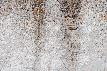 Wall fragment with scratches and cracks