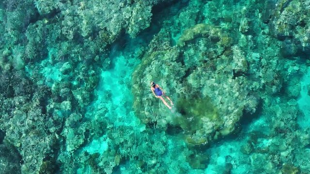 Aerial slow motion: woman snorkeling on coral reef tropical caribbean sea turquoise water Indonesia Banda Islands Pulau Hatta Maluku, tourist diving travel destination