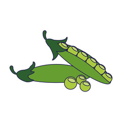 Fototapeta premium Vegetables peas healthy food blue lines