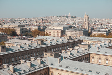 Fototapeta na wymiar View of the Paris