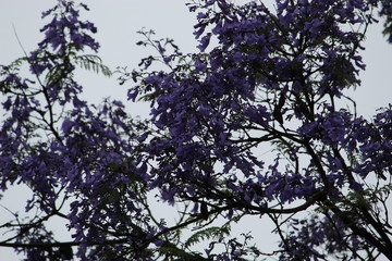 Naturaleza