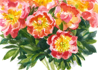 watercolor  bouquet of pink peonies
