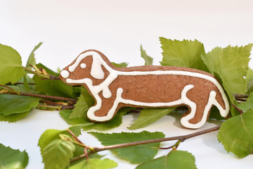  Happy dog in nature - original idea with gingerbread cookies and fresh vegetation