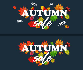 Sale banner with colorful seasonal fall leaves