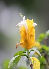 Naturaleza