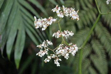 Naturaleza